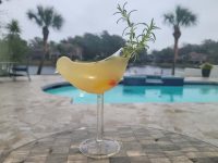 Gin cocktail served in a bird shaped glass.
