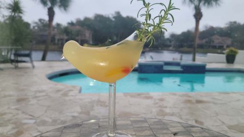 Gin cocktail served in a bird shaped glass.