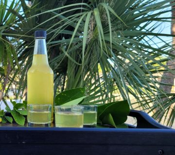 Limoncello in a palm tree setting