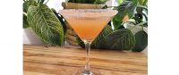 martini glass with a sugar rim and a pale orange drink