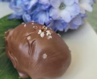 Chocolate with sea salt next to a hydrangea flower