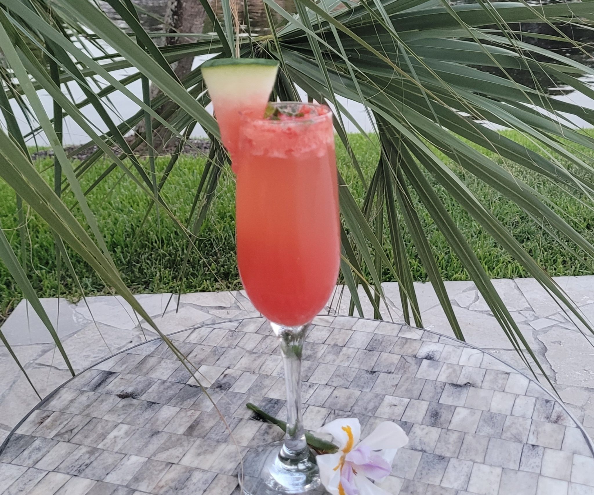 Watermelon Spritzer cocktail